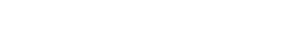 Witt Lake Asset Management